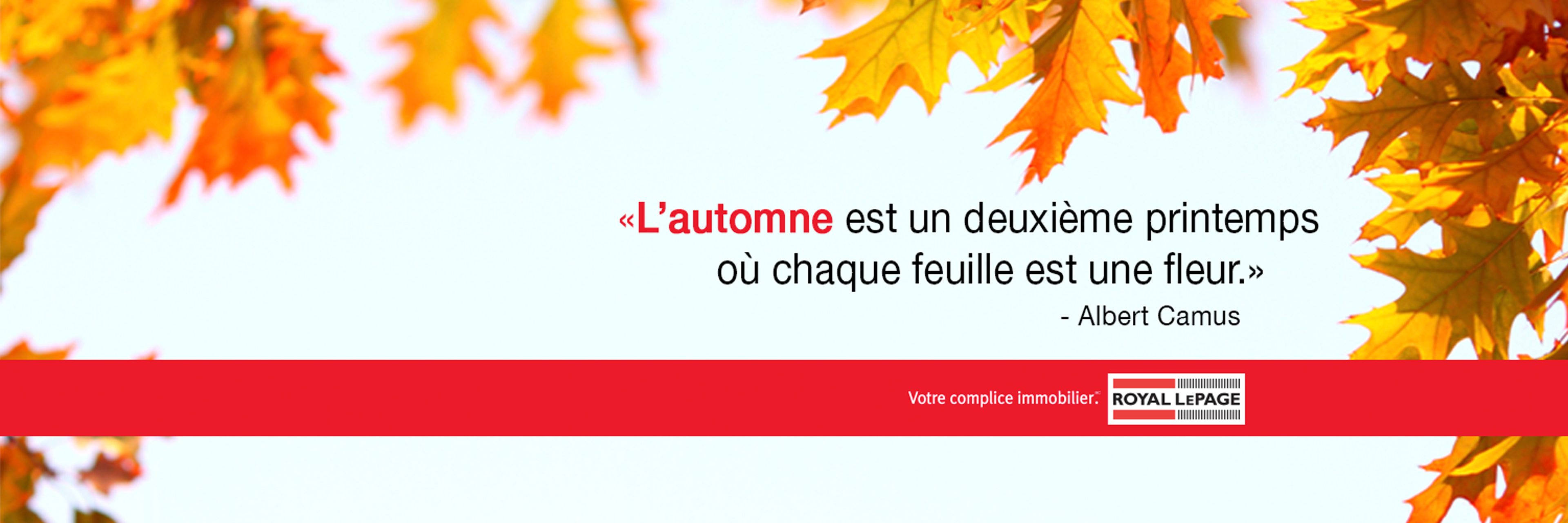 Royal LePage Village